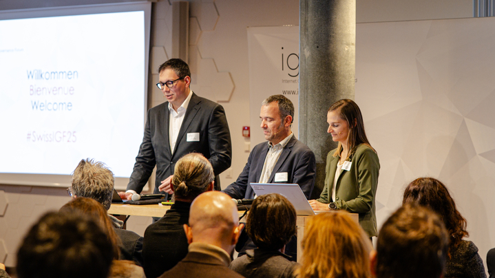 Thumbnail for channel Swiss Internet Governance Forum 2025