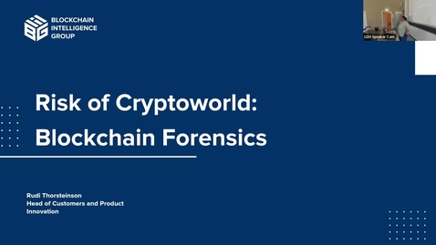 Thumbnail for I.9 Risk of Cryptoworld- BIG by Rudi Thorsteinson