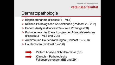 Thumbnail for Dermatopathologie - 2a Pattern analysis (1)