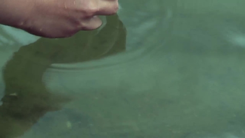 Thumbnail for Ling Wang about her PhD project