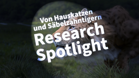 Thumbnail for Research Spotlight: Von Hauskatzen und Säbelzahntigern