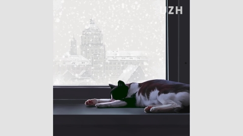 Thumbnail for Weihnachten 2020