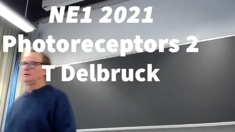 Thumbnail for Photoreceptors 2 - T Delbruck - NE1 2021
