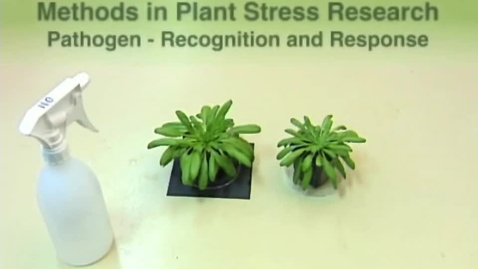 Thumbnail for Methods in Plant Stress Research