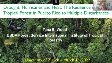 Thumbnail for Drought, Hurricanes and Heat: The Resilience of Tropical Forest in Puerto Rico to multiple Disturbances