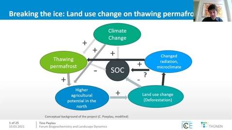 Thumbnail for 10. March 2021 - T. Peplau and C. Poeplau &quot;Breaking the Ice - Consequences of land use change and warming on organic matter dynamics in subarctic soils&quot;