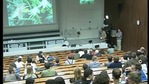 Thumbnail for Pollinator-driven evolution in plants