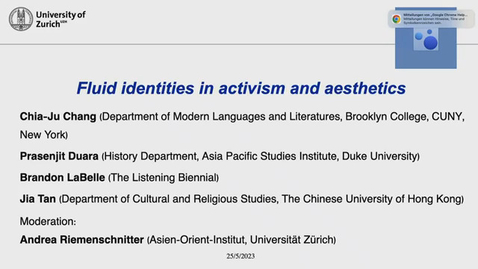 Thumbnail for Fluid identities in activism and aesthetics