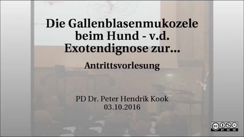 Thumbnail for Die Gallenblasenmukozele beim Hund - v.d. Exotendignose zur häufigsten extrahepatischen biliären Er.