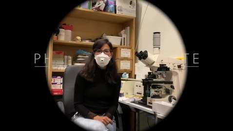 Thumbnail for Group Christof Aegerter