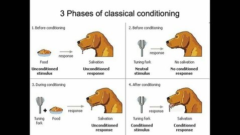 Thumbnail for Learning: Classical and Operant Conditioning