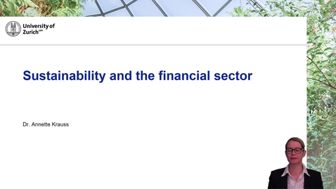 Thumbnail for Sustainability and the financial sector
