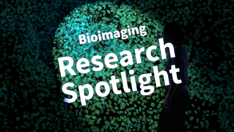Thumbnail for Research Spotlight: Bioimaging