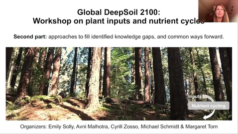 Thumbnail for 4) Global DeepSoil 2100, 16.02.2021