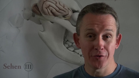 Thumbnail for Prof. Simon Pot, DVM, Diplomate ACVO/ECVO