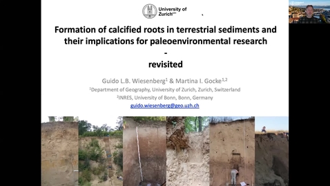 Thumbnail for Swiss Geoscience Meeting 2020, Formation of calcified roots 