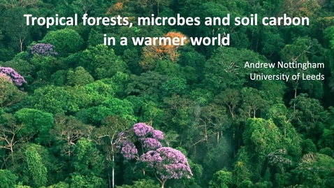 Thumbnail for 10. November 2021 Andrew Nottingham: &quot;Tropical forest, microbes and soil carbon in a warmer world&quot;