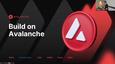 Thumbnail for I.10 Avalanche by Nicolas Arnedo Villanueva