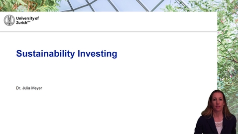 Thumbnail for Sustainability Investing