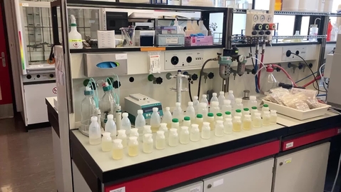 Thumbnail for 33_Inorganic Chemical and Physical Analyses 3