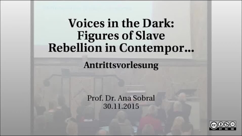 Thumbnail for Voices in the Dark: Figures of Slave Rebellion in Contemporary Global Literatures