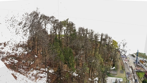 Thumbnail for 3D animation of the forest directly above the Campus Irchel