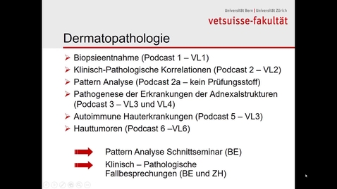 Thumbnail for Dermatopathologie - 5 Autoimmunerkrankungen