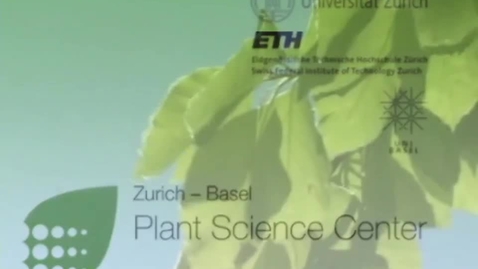 Thumbnail for Methods in Plant Stress Research