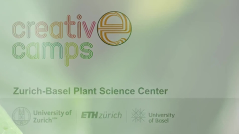 Thumbnail for Creative Camps Ferienlager mit Kunst und Wissenschaft