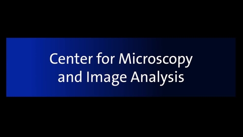 Thumbnail for Center for Microscopy and Image Analysis (ZMB)
