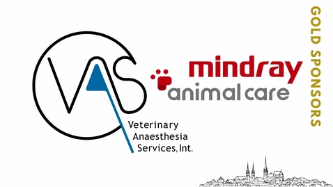 Thumbnail for 1.5.Glassaal_3_Perioperative care equine