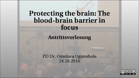 Thumbnail for Protecting the brain: The blood-brain barrier in focus
