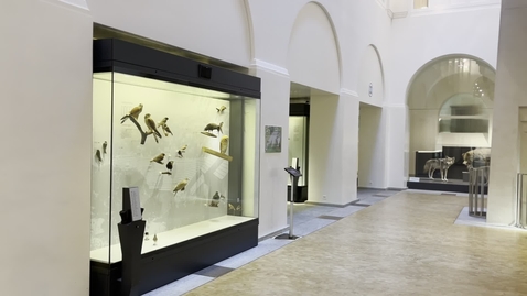 Thumbnail for Young Minds Science Film Day 2023 - M. Anning