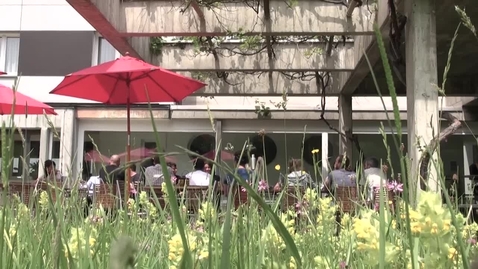 Thumbnail for PhD program