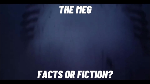 Thumbnail for Young Minds Science Film Day 2023 - Megalodon