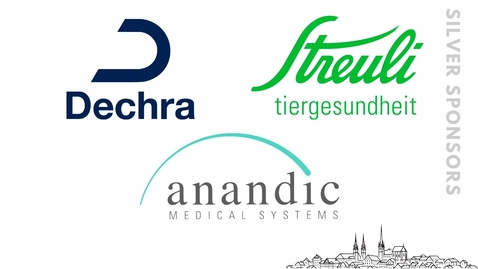 Thumbnail for 2.5.Trafohalle_4_abstracts_afternoon