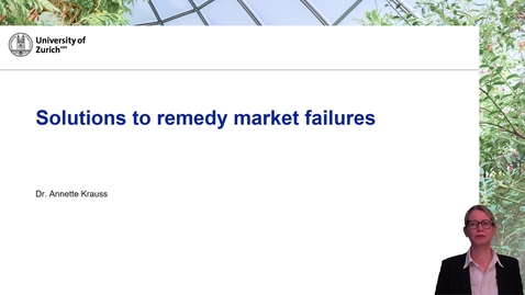 Thumbnail for Solutions to remedy market failures