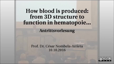 Thumbnail for How blood is produced: from 3D structure to function in hematopoietic organs