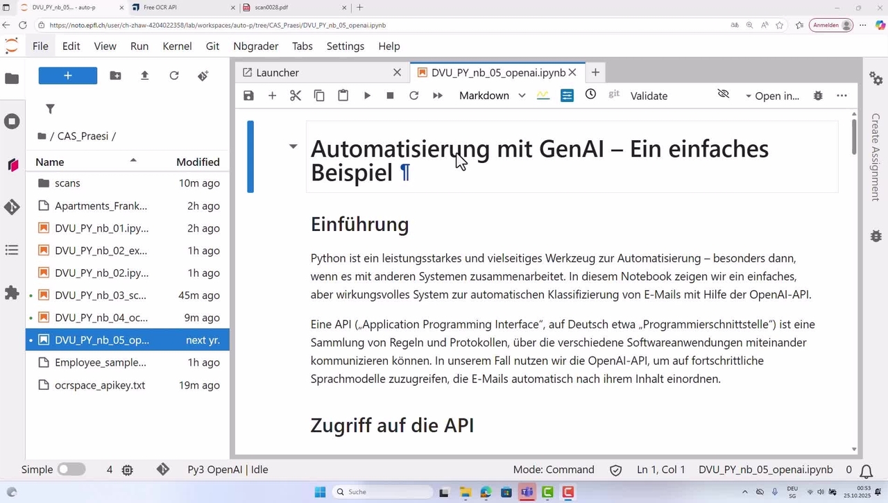 DVU PY 14 – OpenAI
