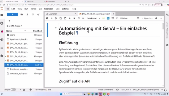 DVU PY 14 – OpenAI