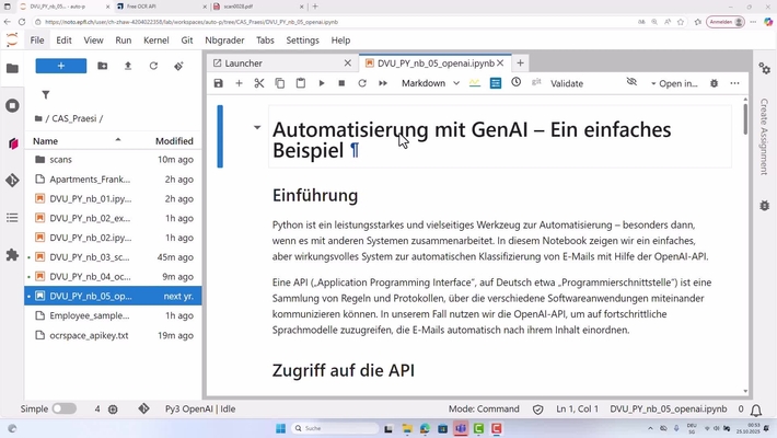 DVU PY 14 – OpenAI
