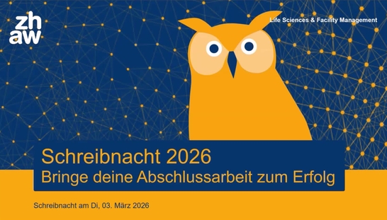 Gliederung der Arbeit: ein logisches Puzzlespiel - Schreibnacht 2026