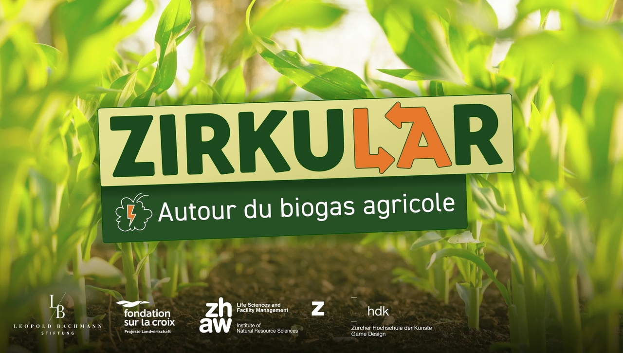 Cas 6: Autour de biogas agricole