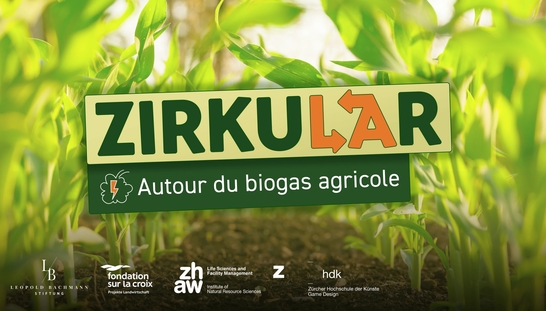 Cas 6: Autour de biogas agricole