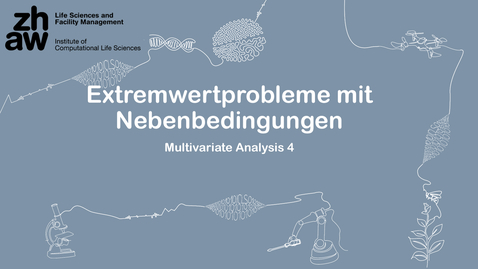 Thumbnail for Multivariate Analysis 04: Extremwertprobleme mit Nebenbedingungen