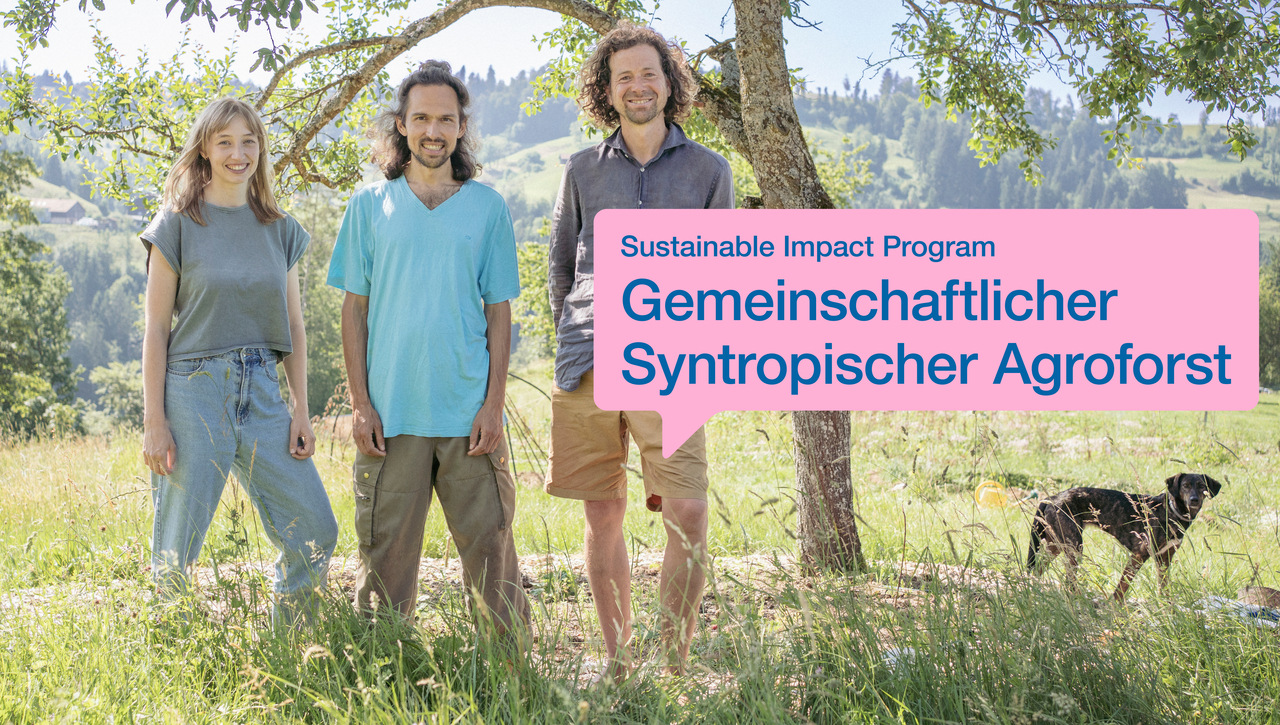 Von Ohnmacht zu Wirksamkeit: Wie gemeinsame Gartenarbeit umweltbezogene Emotionen heilt