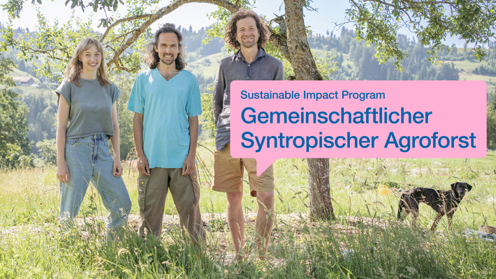 Von Ohnmacht zu Wirksamkeit: Wie gemeinsame Gartenarbeit umweltbezogene Emotionen heilt