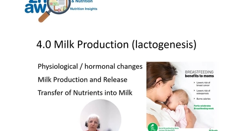 Thumbnail for 2025 Preg Lac Lactation 4 Video Revised-1