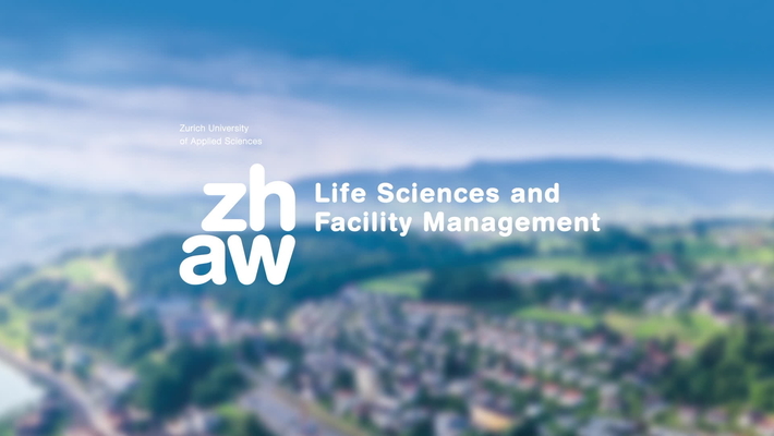 Kulturtage 2026 Infofilm