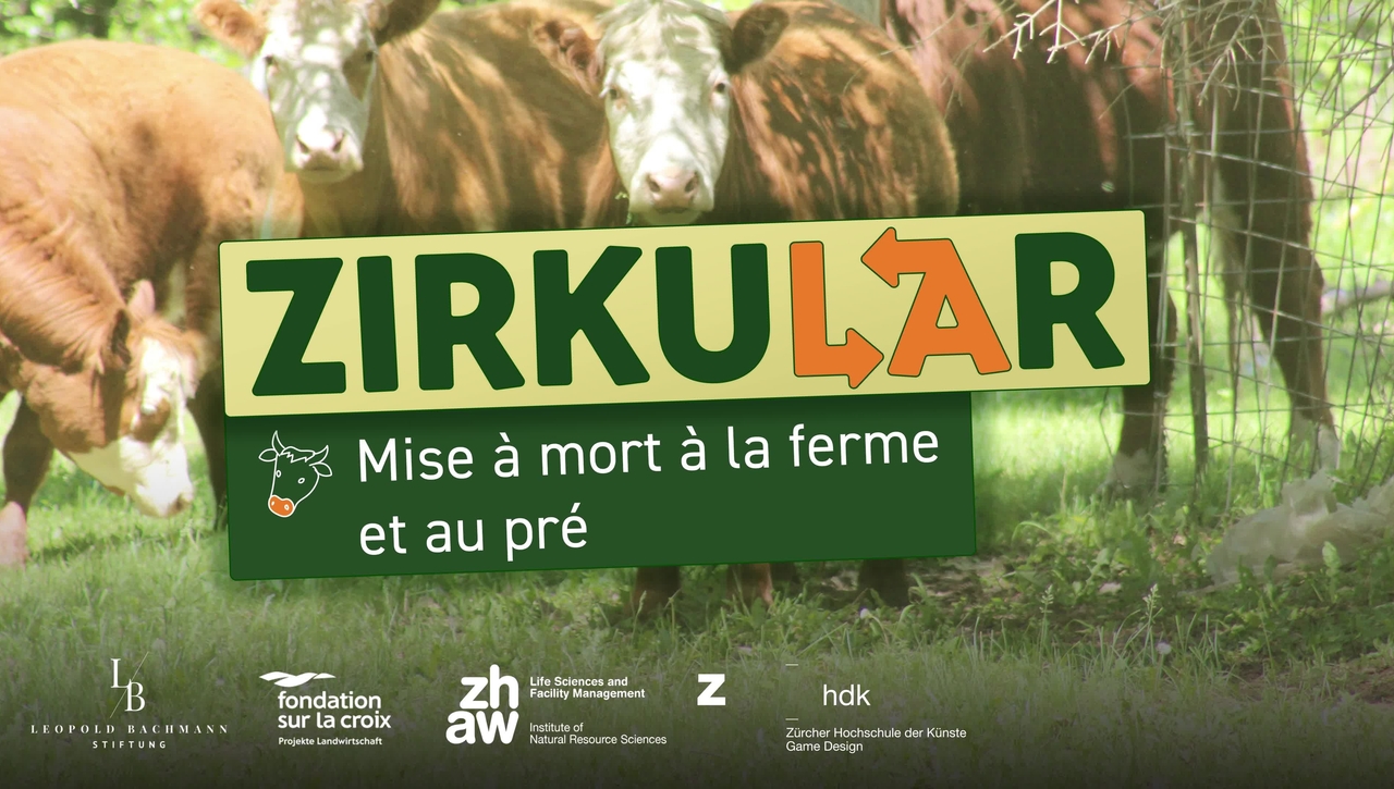 Cas 8: Mise à mort a la ferme et au pré